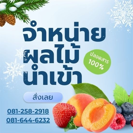 ผลไม้นำเข้า ตลาดไท ผลไม้นำเข้า ตลาดไท