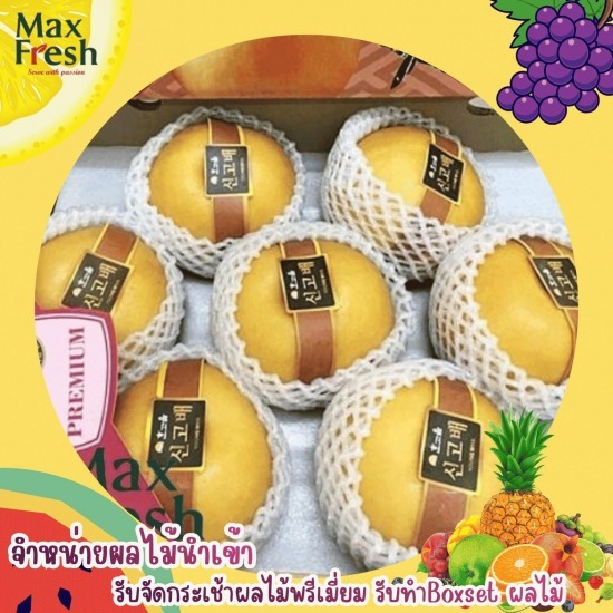 ผลไม้นำเข้า ญี่ปุ่น - รับจัดกระเช้าผลไม้พรีเมี่ยมขายส่งผลไม้นำเข้า ผลไม้นานาชาติ