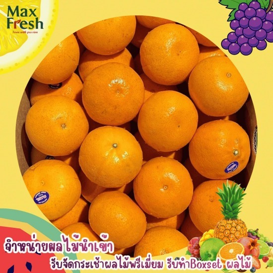 ผลไม้นำเข้า ตลาดไท