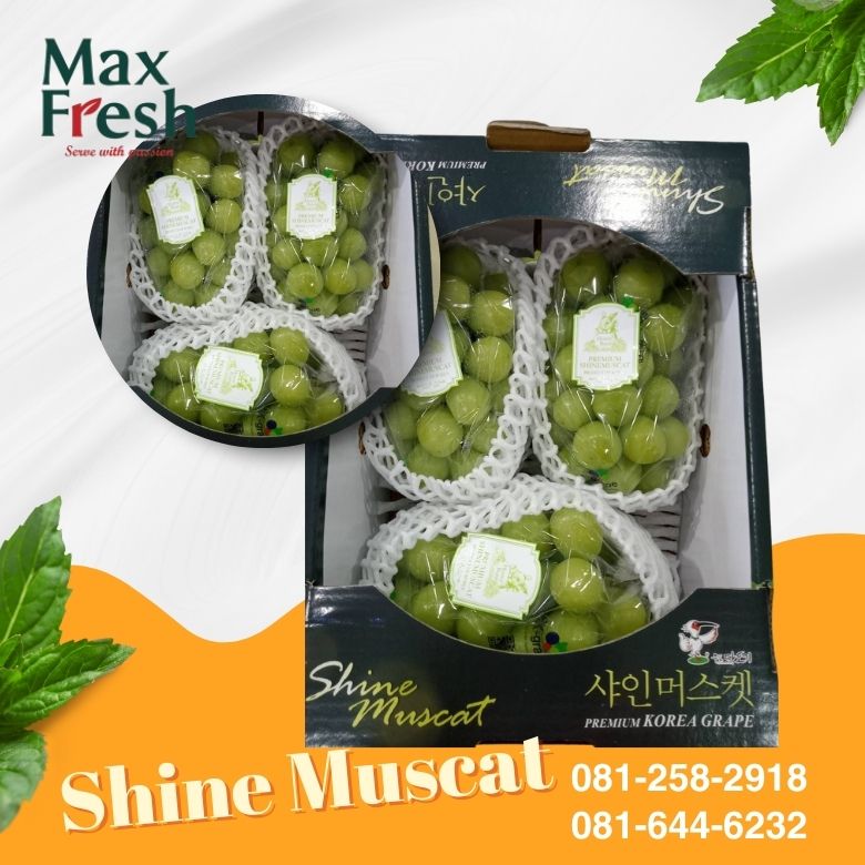 ร้านผลไม้นำเข้าตลาดไท