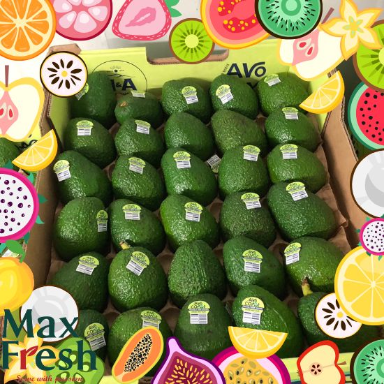 อาโวคาโดเป็นผลไม้ที่อุดมไปด้วยวิตามิน อาโวคาโดเป็นผลไม้ที่อุดมไปด้วยวิตามิน