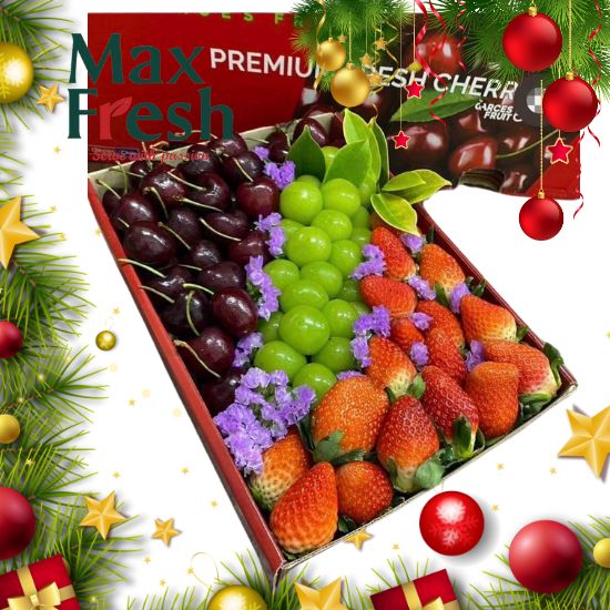 กระเช้าผลไม้ Premium กระเช้าผลไม้ Premium