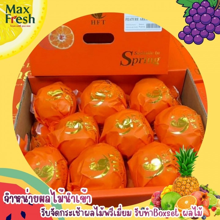 ผลไม้นำเข้า ปทุมธานี